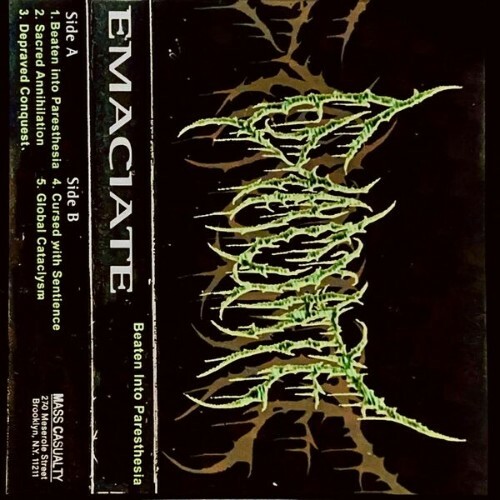Emaciate - Beaten Into Paresthesia (2026) Emaciate - Beaten Into Paresthesia (2026)