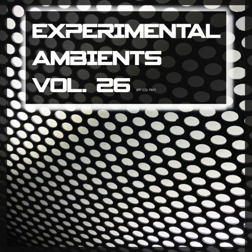 Experimental Ambients, Vol. 26 (2026)