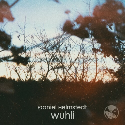  Daniel Helmstedt - Wuhli (2024) 
