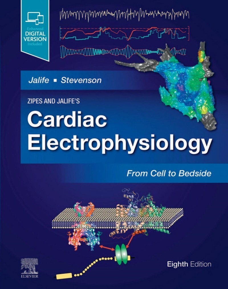 Zipes And Jalife ‘ S Cardiac Electrophysiology From Cell To Bedside 8th Edition (Andrea Natale, Paul J. Wang, Amin Al-Ahmad, N. A. Mark Estes) Zipes And Jalife ‘ S Cardiac Electrophysiology From Cell To Bedside 8th Edition (Andrea Natale, Paul J. Wang, Amin Al-Ahmad, N. A. Mark Estes)