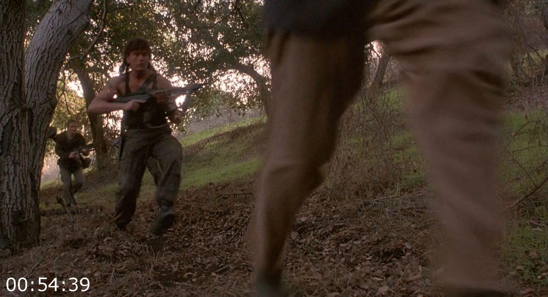 [Kép: ME1AYZ49_o.png]