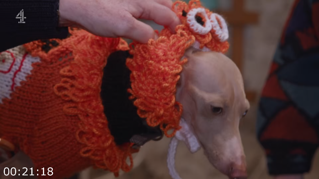 [Image: ME17L75Y_o.png]