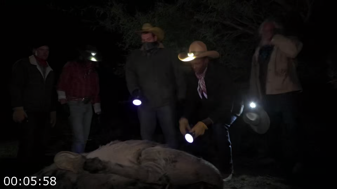 [Image: ME1923UI_o.png]