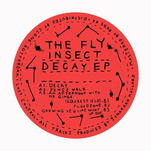 The Fly Insect - Decay EP (2023) MP3