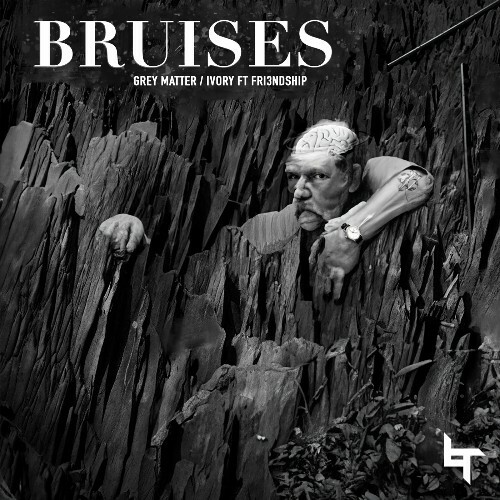 VA -  Bruises - Grey Matter / Ivory (2024) [MP3] MEVD67A_o