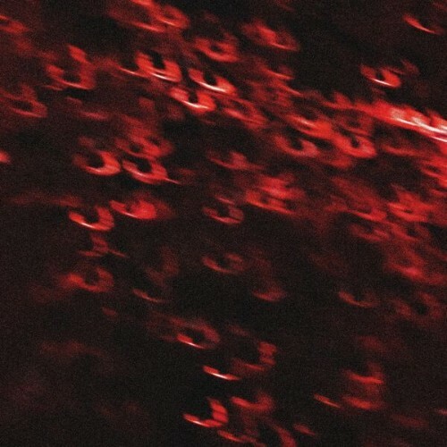  Threat Letter - Microplastic Lungs (2026) 