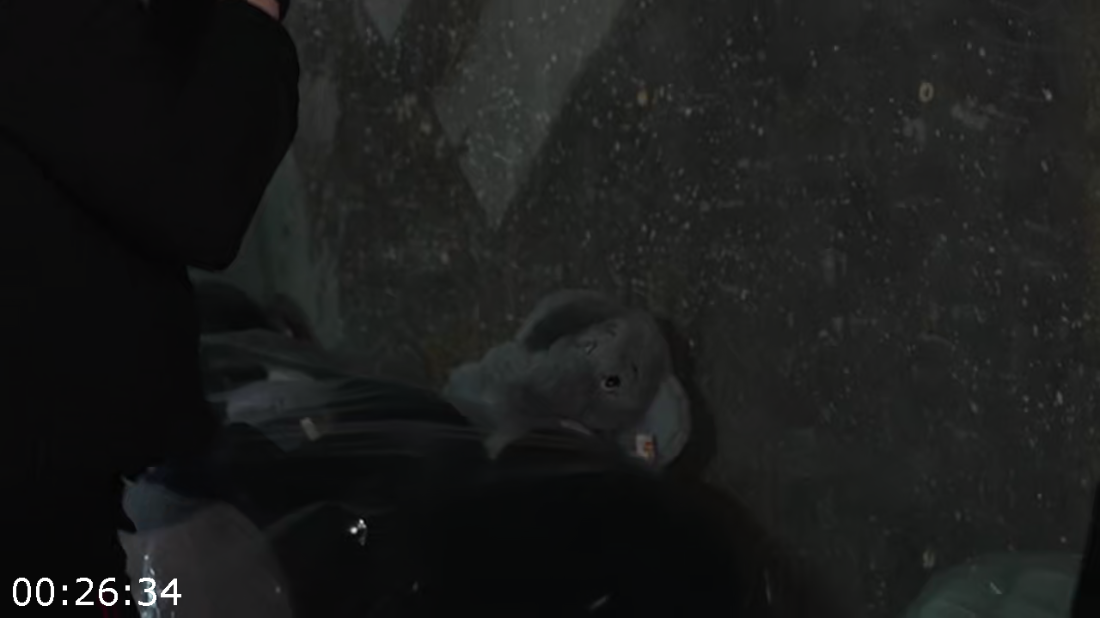 [Image: ME17FM97_o.png]