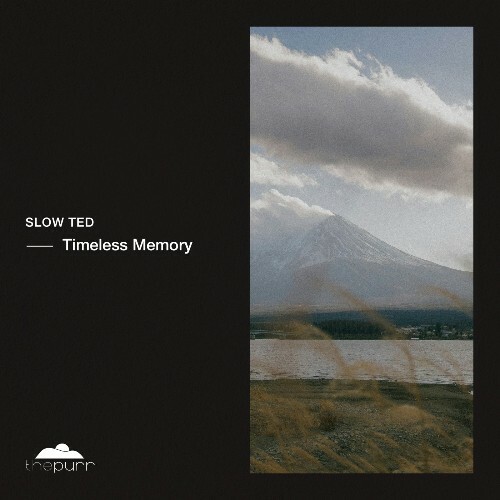  Slow Ted - Timeless Memory (2025) 
