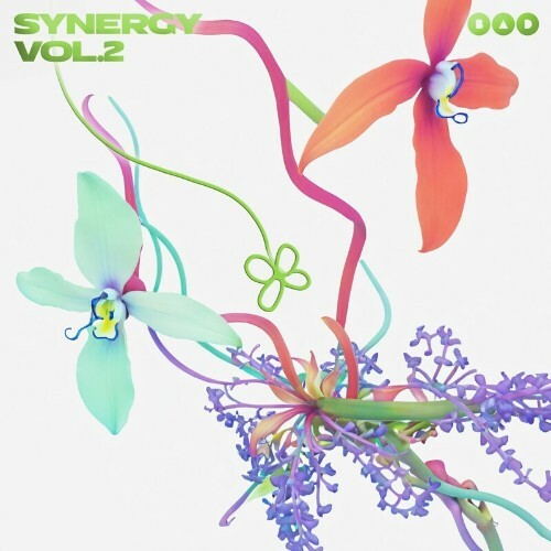  Synergy Vol. 2 (2024) 