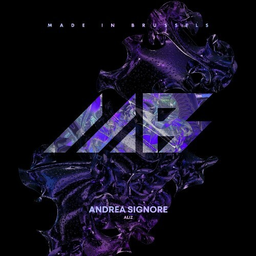 VA - Andrea Signore - Aliz (2024) (MP3) METMUA8_o