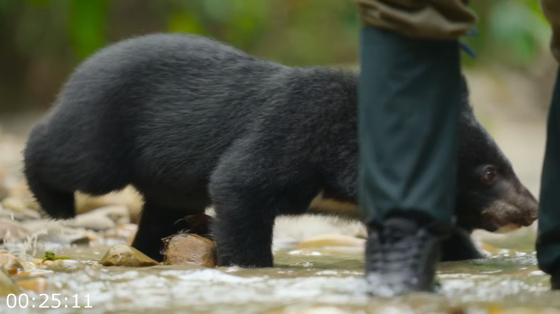 [Image: ME18VT3U_o.png]