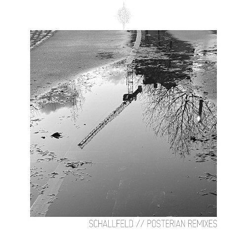  Schallfeld - Posterian (Remixes) (2024) 