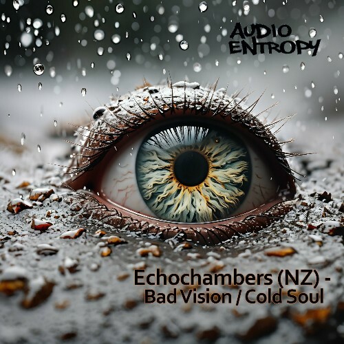 Echochambers — Bad Vision / Cold Soul (2024)