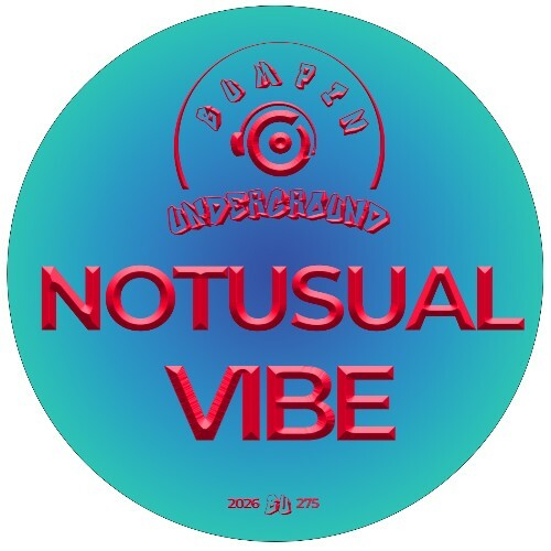  Notusual - VIBE (2026) 