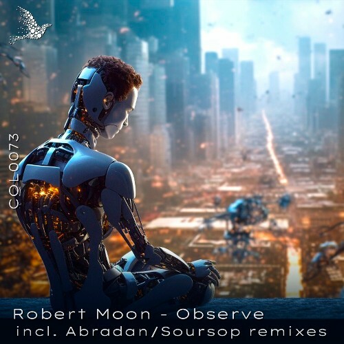  Robert Moon - Observe (2024) 