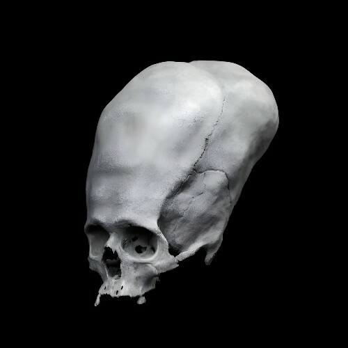  THEGOD01 - Bloodline of the Serpent-Kings (2025) 