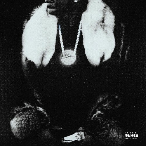  Max B - Public Domain 7: The Purge (2025) 