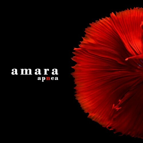  Apnea - Amara (2024) 
