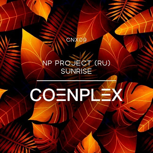  NP Project (RU) - Sunrise (2025) 