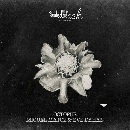 Miguel Matoz & Eve Dahan - Octopus (2025) Miguel Matoz & Eve Dahan - Octopus (2025)
