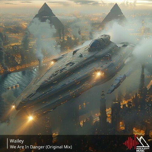  Wailey - We Are in Danger (2024) 