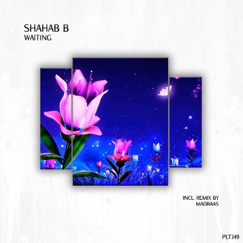 Shahab B - Waiting (2024)