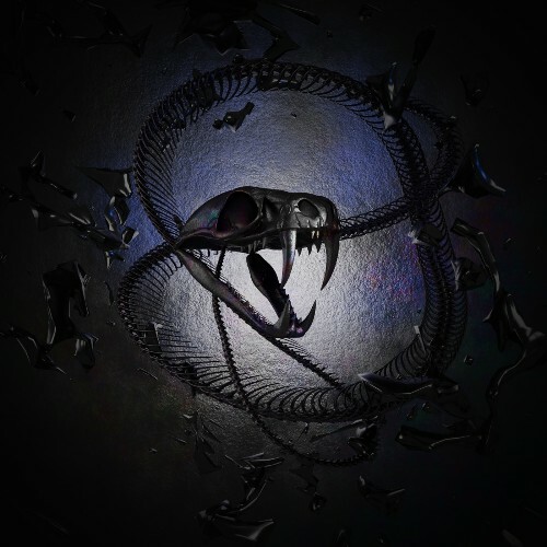  Silver Season, THE TIMELESS (be) - Just Follow (2025) 