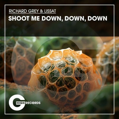  Richard Grey & Lissat - Shoot Me Down, Down, Down (2025) 