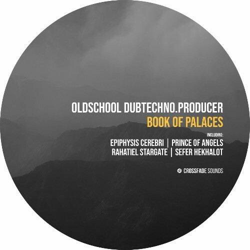  Oldschool Dubtechno .Producer - Book of Palaces (2025) 