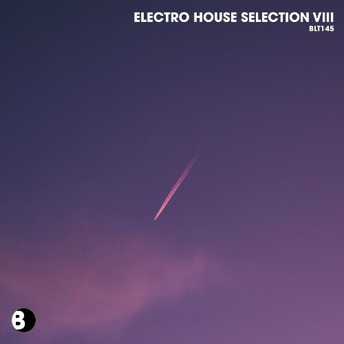  Electro House Selection Viii (2024) 