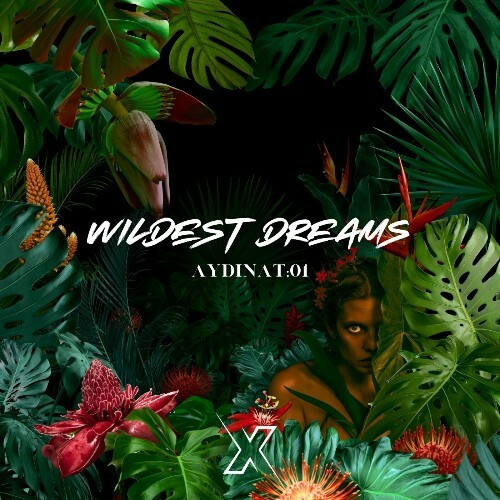  AydinAT;01 - Wildest Dreams (2024)  MEVMVTT_o