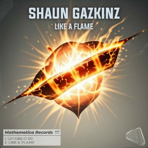  Shaun Gazkinz - Like A Flame (2024) 