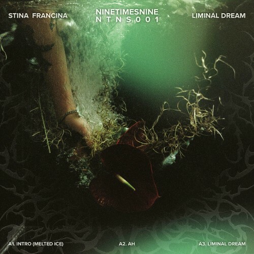 VA - Stina Francina - Liminal Dream (2024) (MP3) MEVBZY4_o