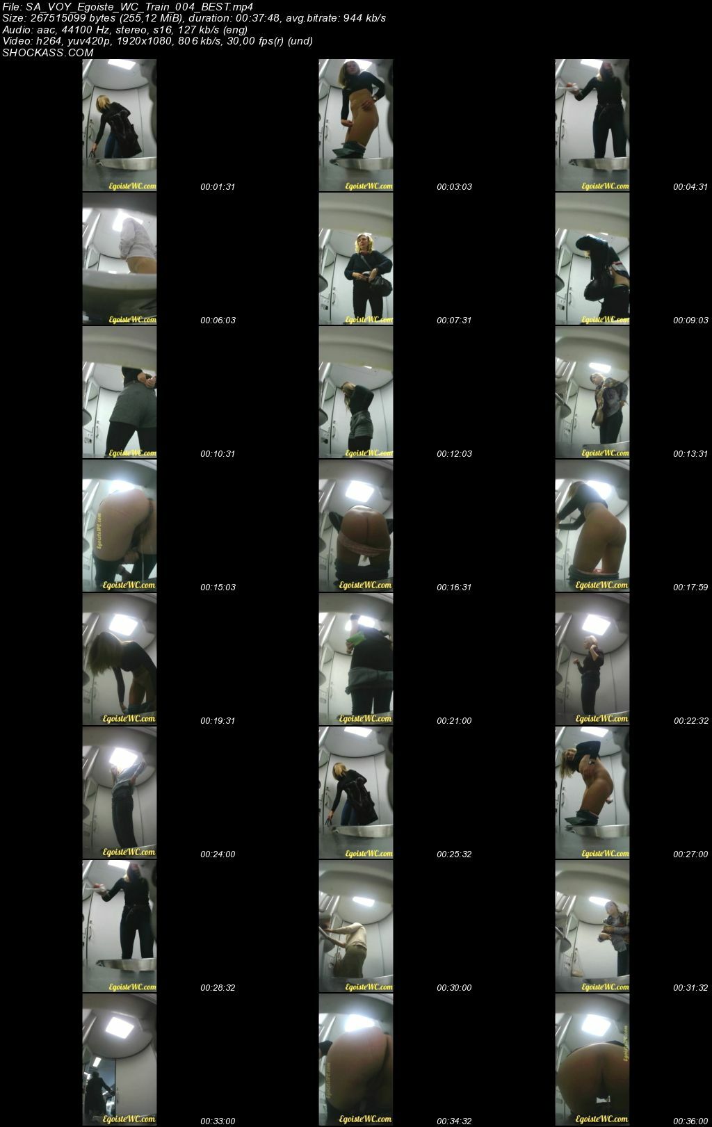 More footage from the Egoiste WC Train No.4 hidden camera series