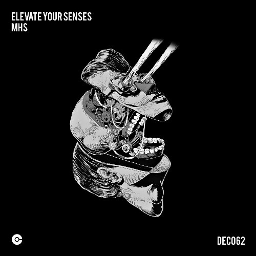  MHS - Elevate Your Senses (2024) 