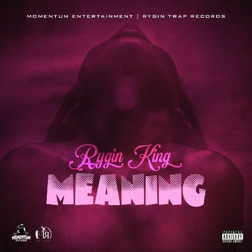  Rygin King - Meaning (2024) 