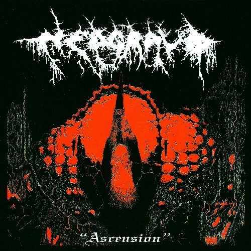 Nedgravd - Ascension (2026) Nedgravd - Ascension (2026)
