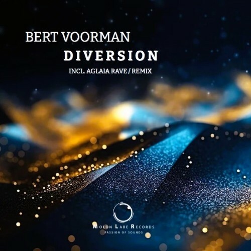 Bert Voorman - Diversion (2025) Bert Voorman - Diversion (2025)