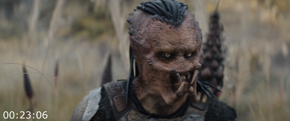 [Kép: ME19GQEK_o.png]