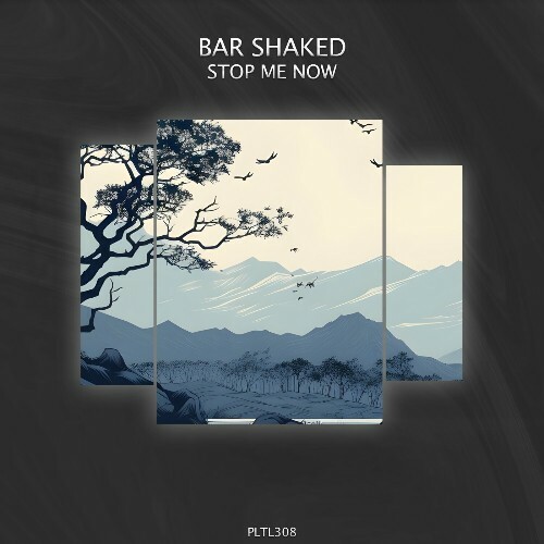  Bar Shaked - Stop Me Now (2024) 