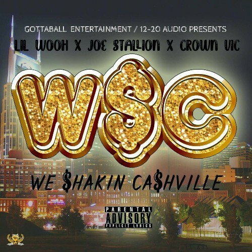 VA -  Lil Wooh, Joe Stallion & Crown Vic - W$C (We $hakin Ca$hville... MEW84B4_o