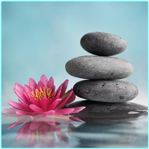 [Image: ME18Q73X_o.png]