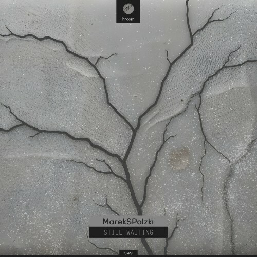 MarekSPolzki - Still Waiting (2025) 