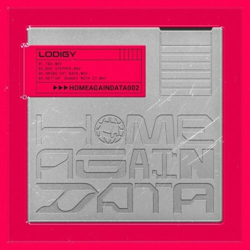  Logidy - Home Again Data 02 (2023) 