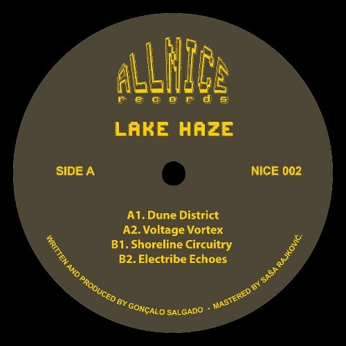 VA -  Lake Haze - Shoreline Circuitry (2024) [MP3] MEUL40E_o