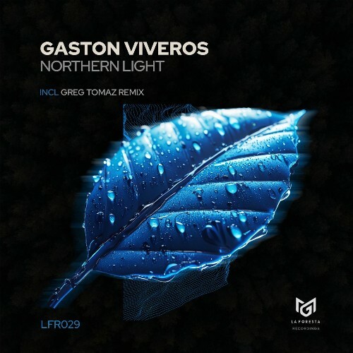  Gaston Viveros - Northern Light (2025) 