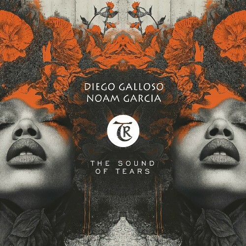 MP3:  Diego Galloso, Noam Garcia - The Sound of Tears (2024) Онлайн