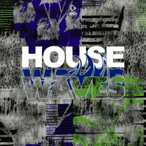 House Waves, Vol. 7 (2024) 