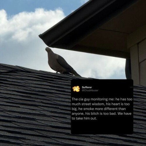  Southside Hoodlum - real (2026) 