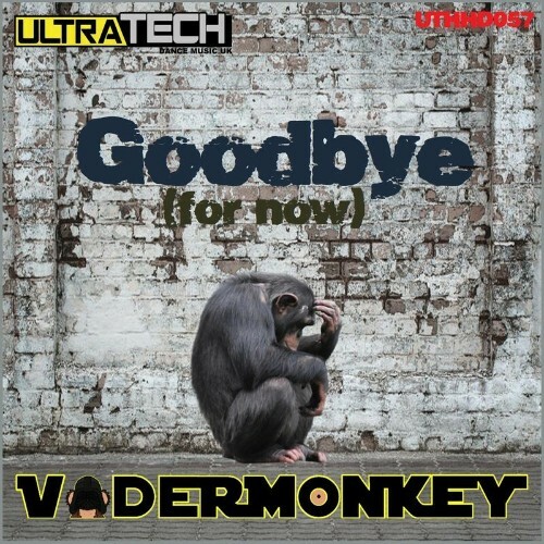 VaderMonkey - Goodbye (For Now) (2022)